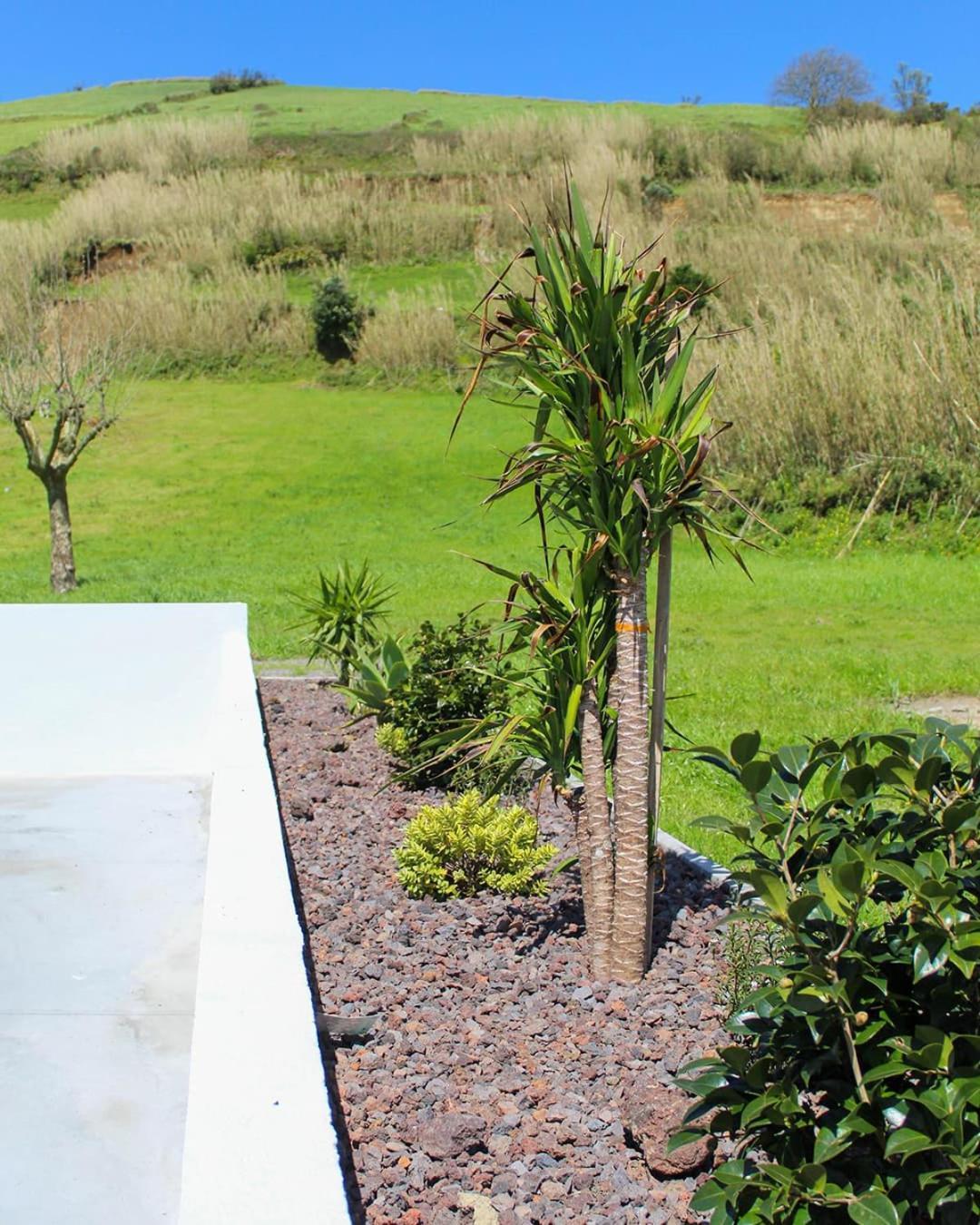 Dreamscape Villa Ponta Delgada  Ngoại thất bức ảnh